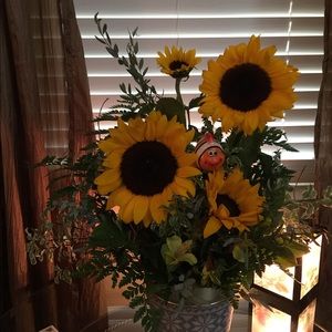 Meet your Posher, Carolyn